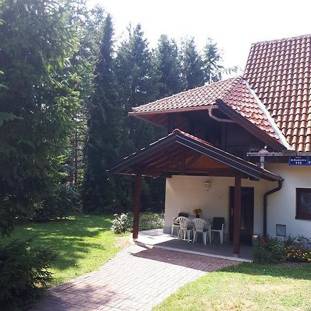 Apartmani U Borovoj Sumi Zlatibor Buitenkant foto