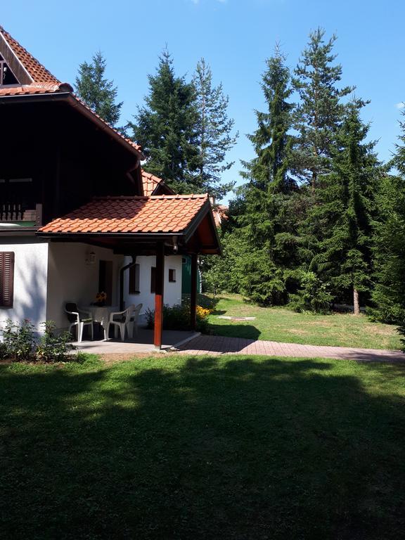 Apartmani U Borovoj Sumi Zlatibor Buitenkant foto